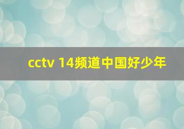 cctv 14频道中国好少年